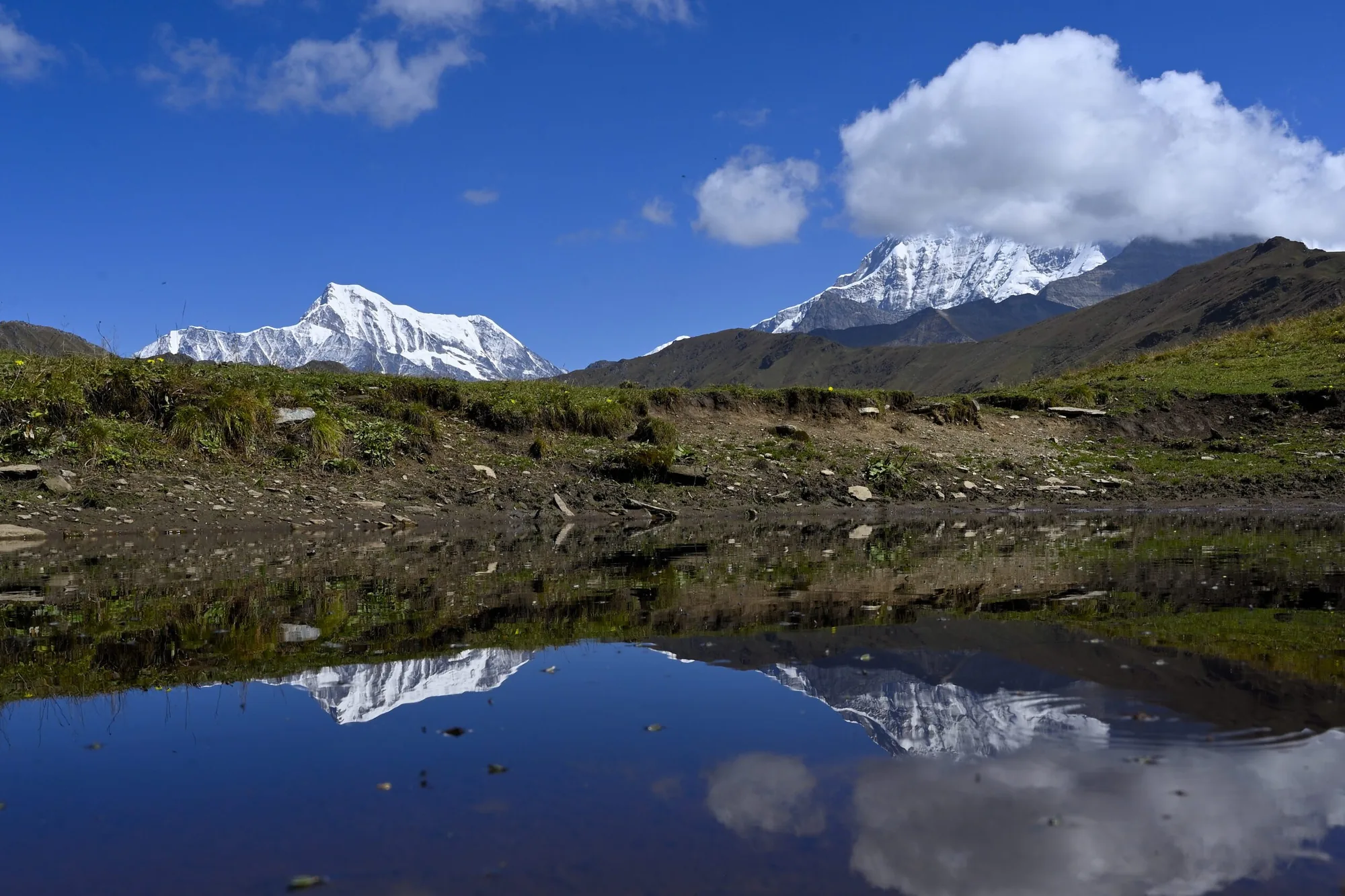 Ali Bedni Bugyal Trek