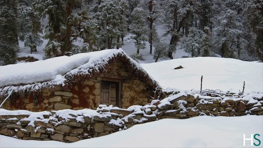 Deoriatal Chopta Chandrashila Trek