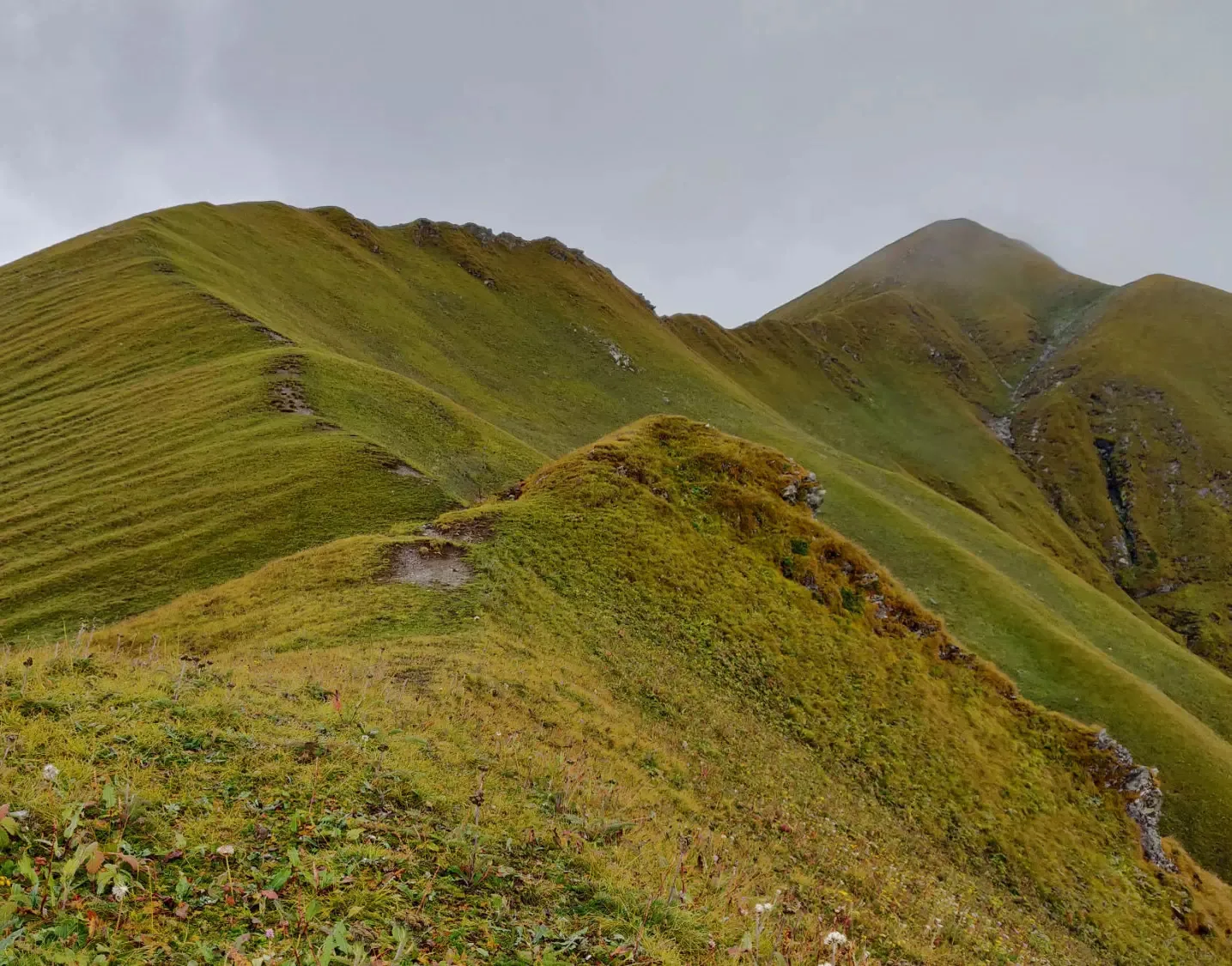 Gidara Bugyal Trek
