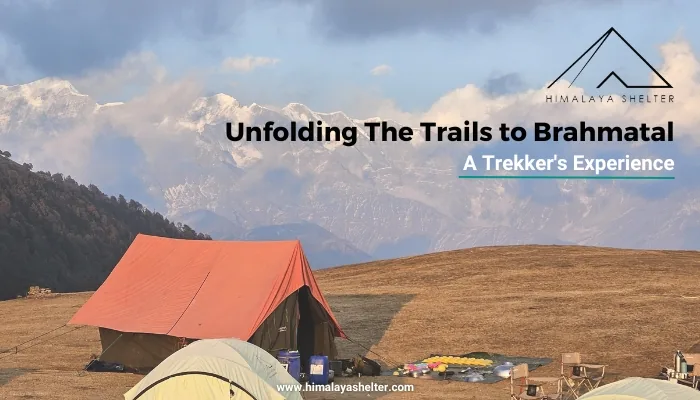 Unfolding The Trails to Brahmatal: A trekker's experience