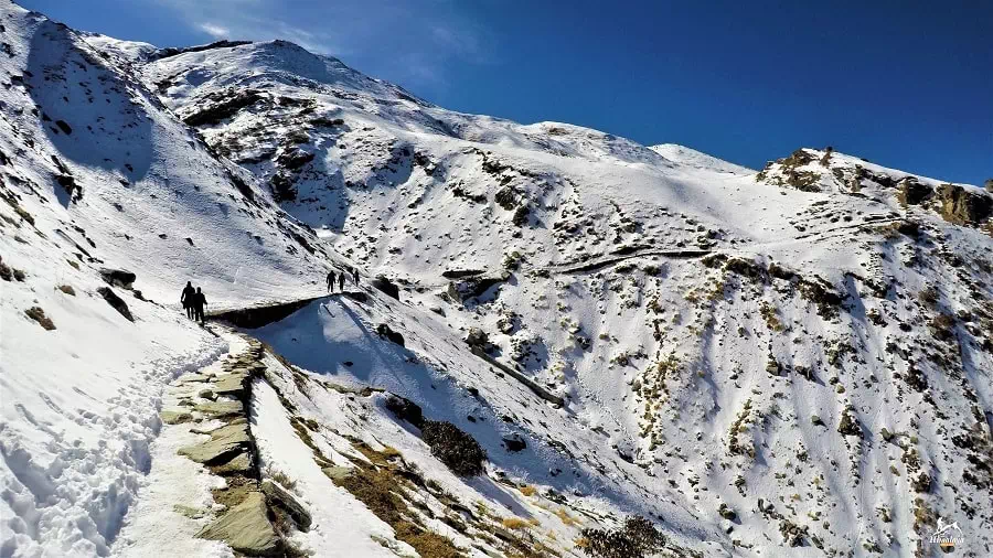 trekkers waling to Kuari pass trek