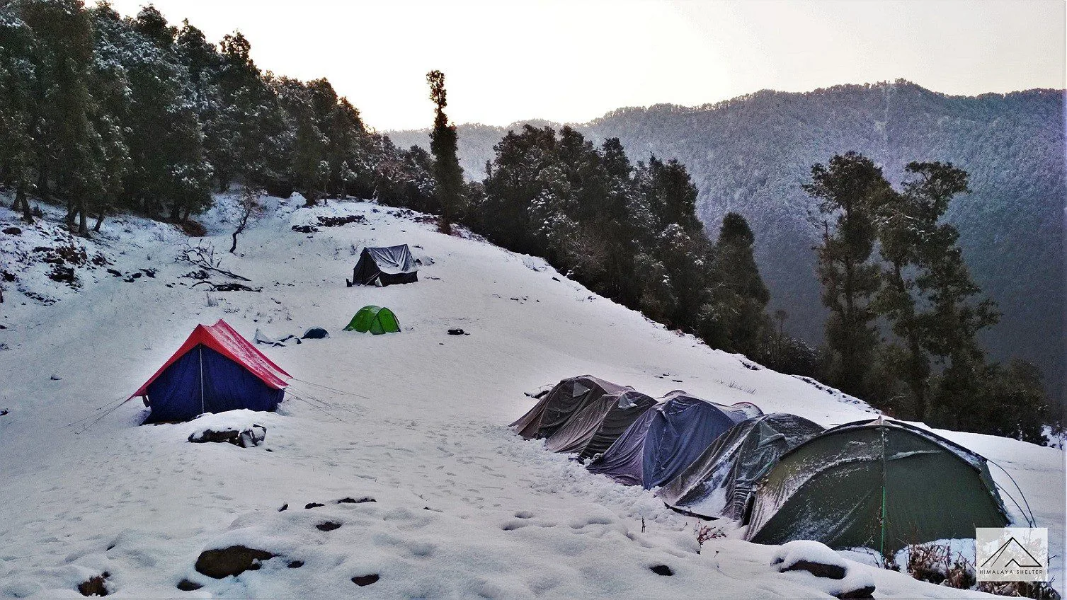 https://www.himalayashelter.com/trek/nag-tibba-trek/