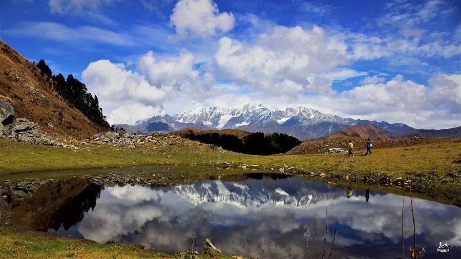 https://www.himalayashelter.com/trek/dayara-bugyal-trek/
