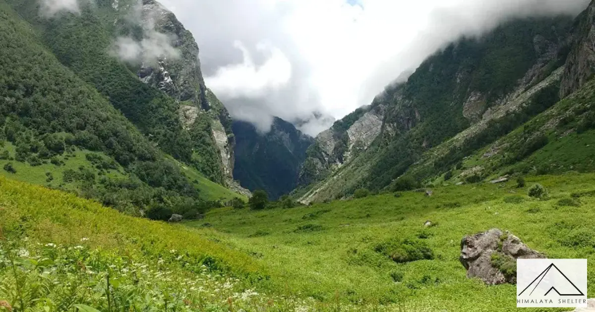 Valley of flower
