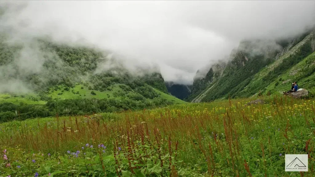 Valley Of Flowers Trek