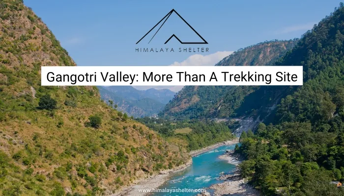 Gangotri Valley: More than a trekking site