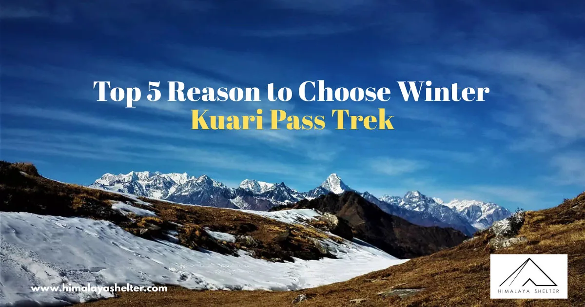 Top 5 Reason To Choose Winter Kuari Pass Trek