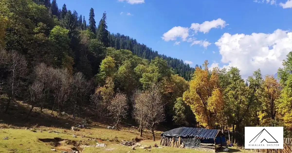Bhoj Gadi