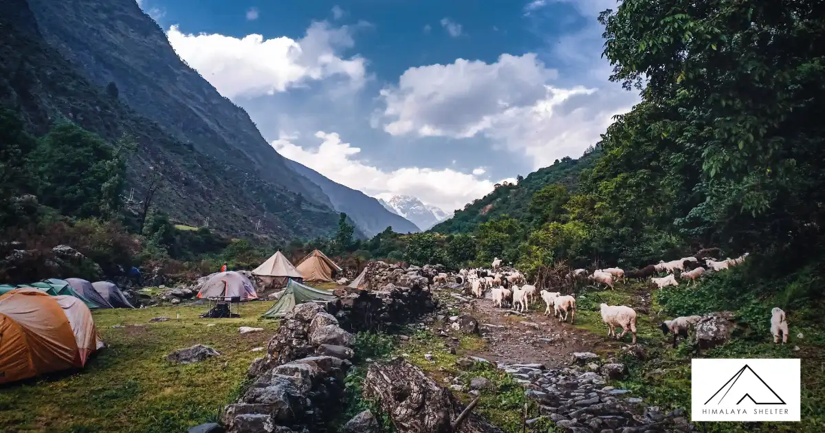 Har Ki Dun Trek