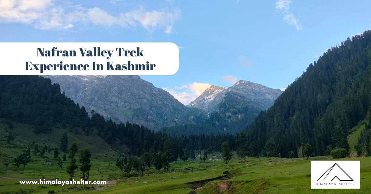 Nafran Valley Trek Experience In Kashmir: A trekker's blissful dream
