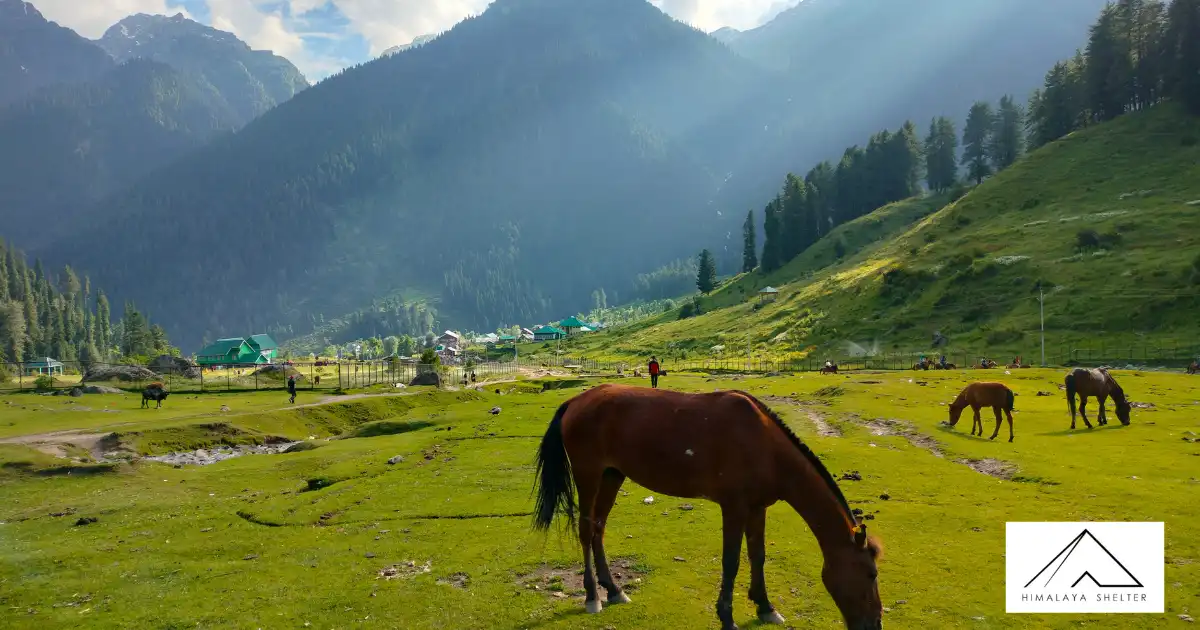 Nafran Valley