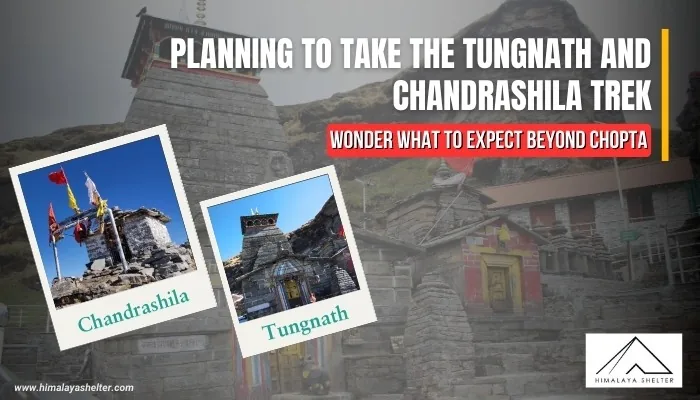 Planning to Take the Tungnath and Chandrashila Trek: Wonder what to expect beyond chopta