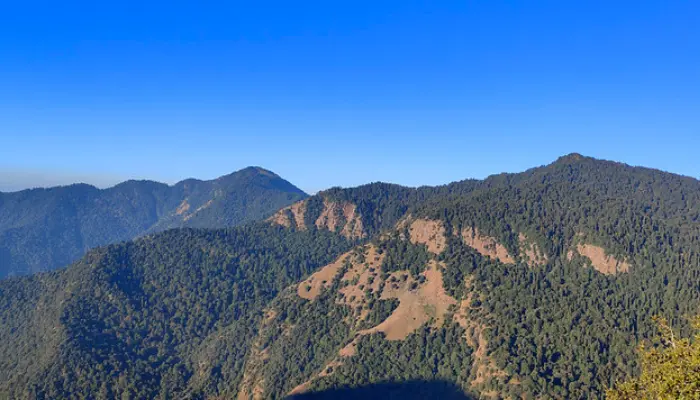 Chopta—Mini Switzerland of India