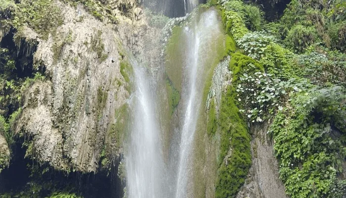 Patna Waterfall Trek trek in the Himalayas by Himalaya Shelter