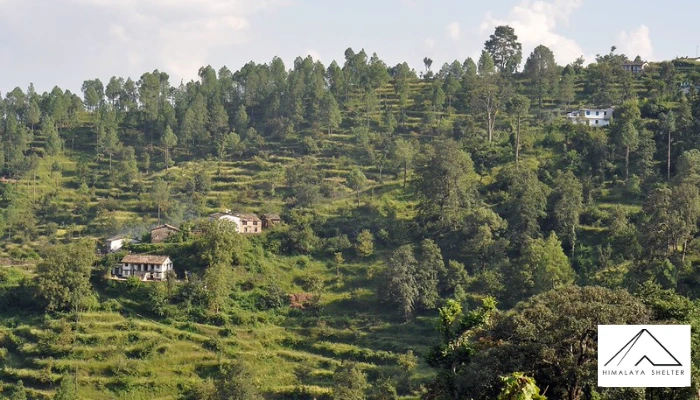 Kasardevi Trek