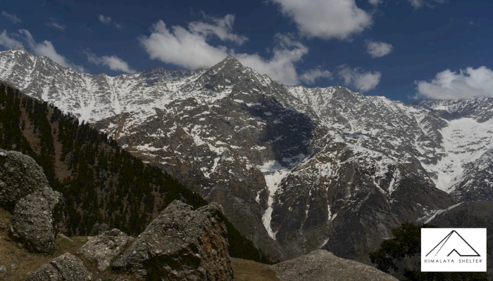 Moon Peak Trek Dharamshala trek in the Himalayas by Himalaya Shelter
