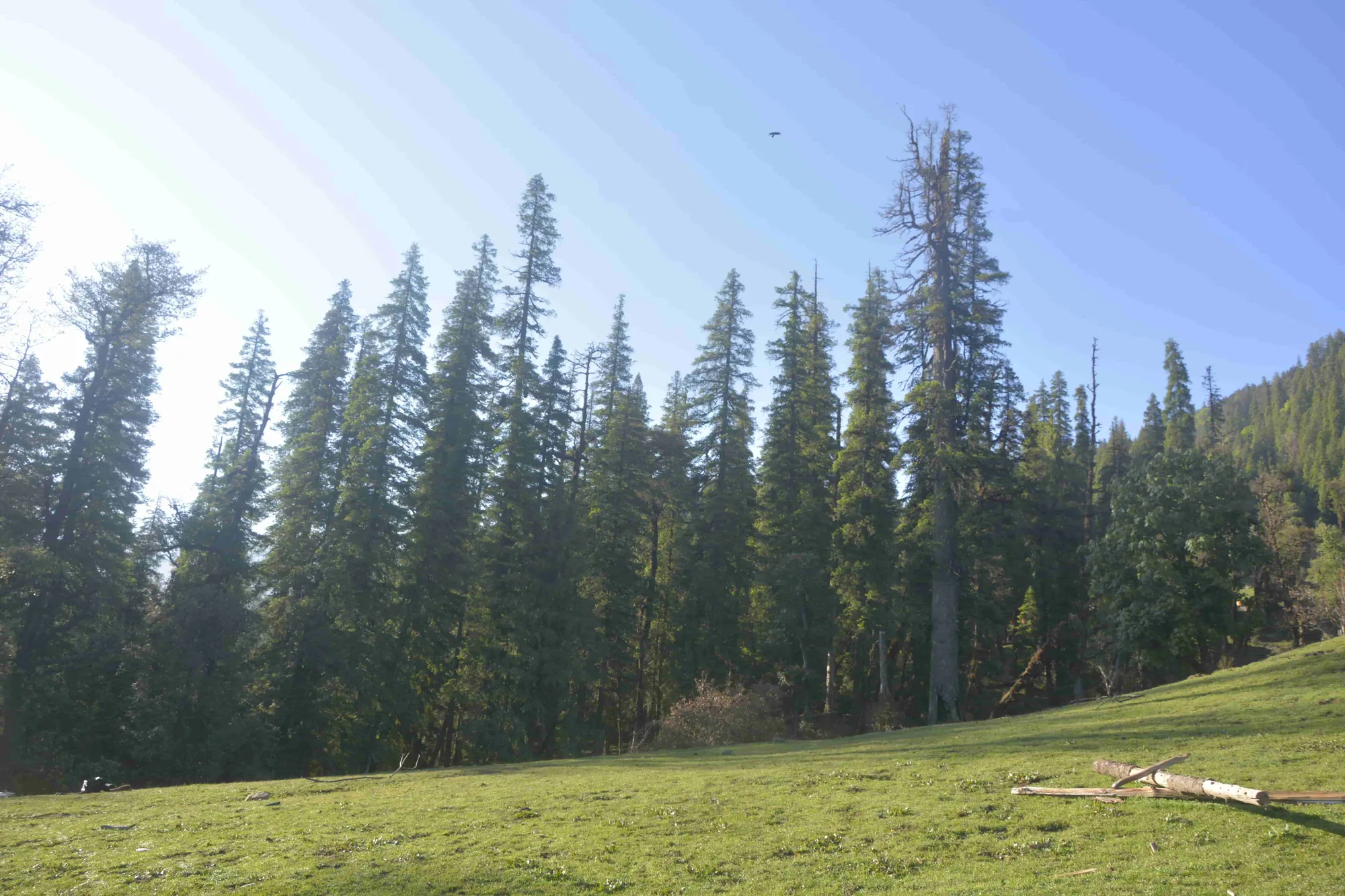 phulara ridge trek