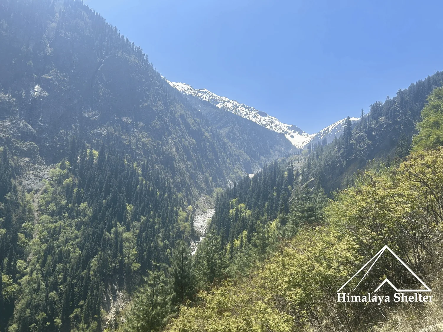 buran ghati trek in Himachal