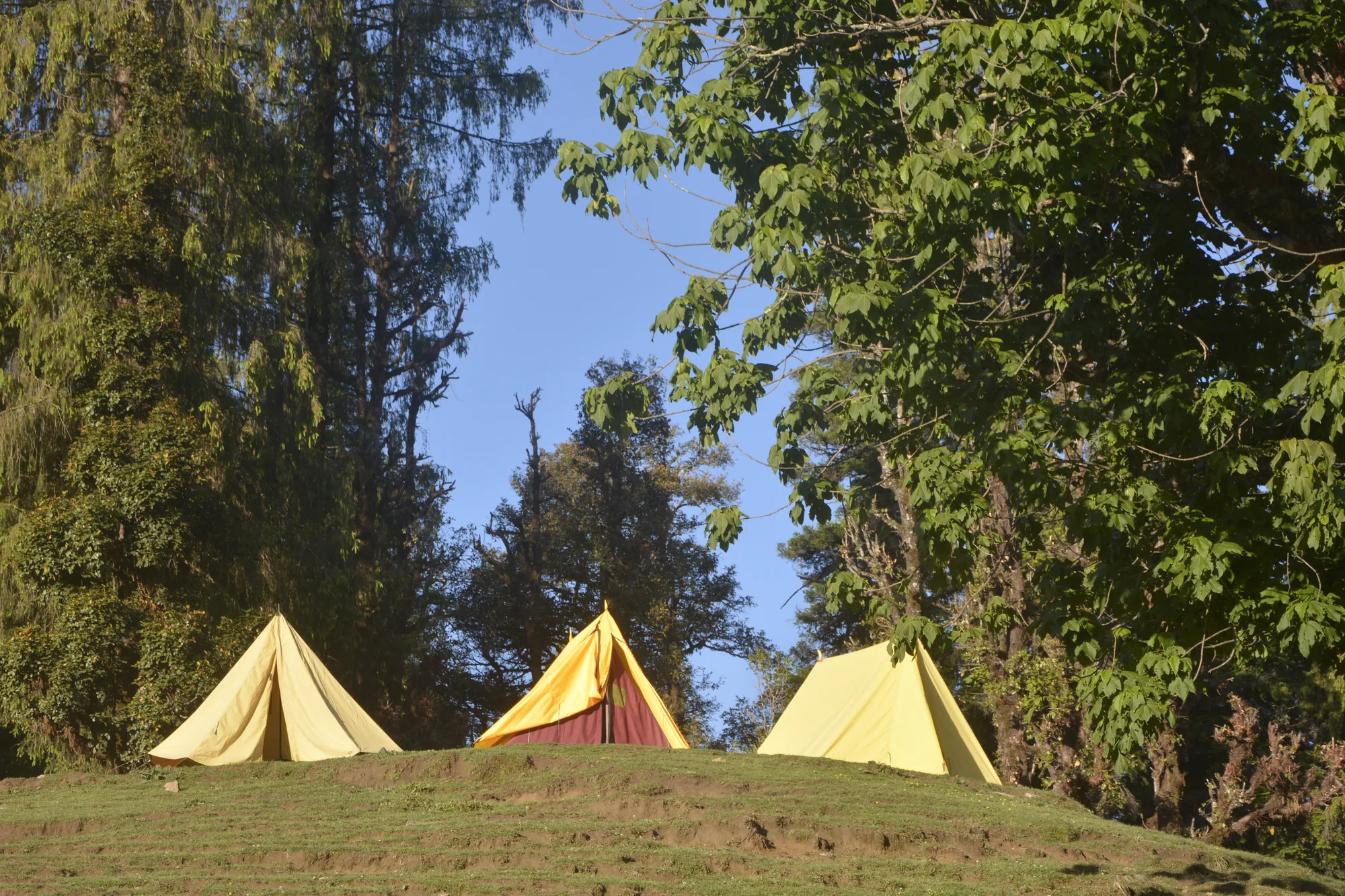 alpine tents