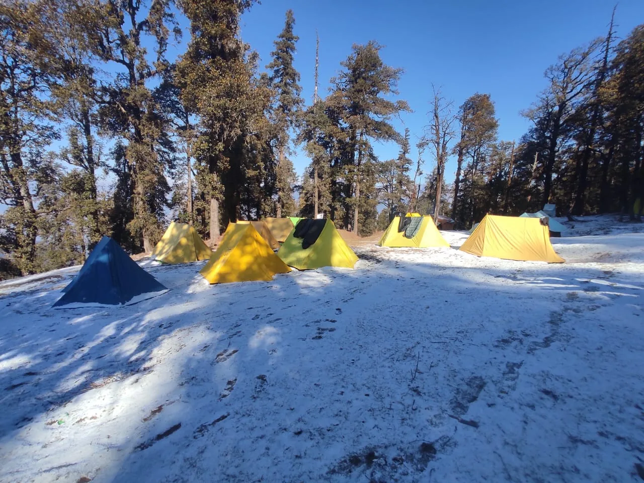 a shaped tent