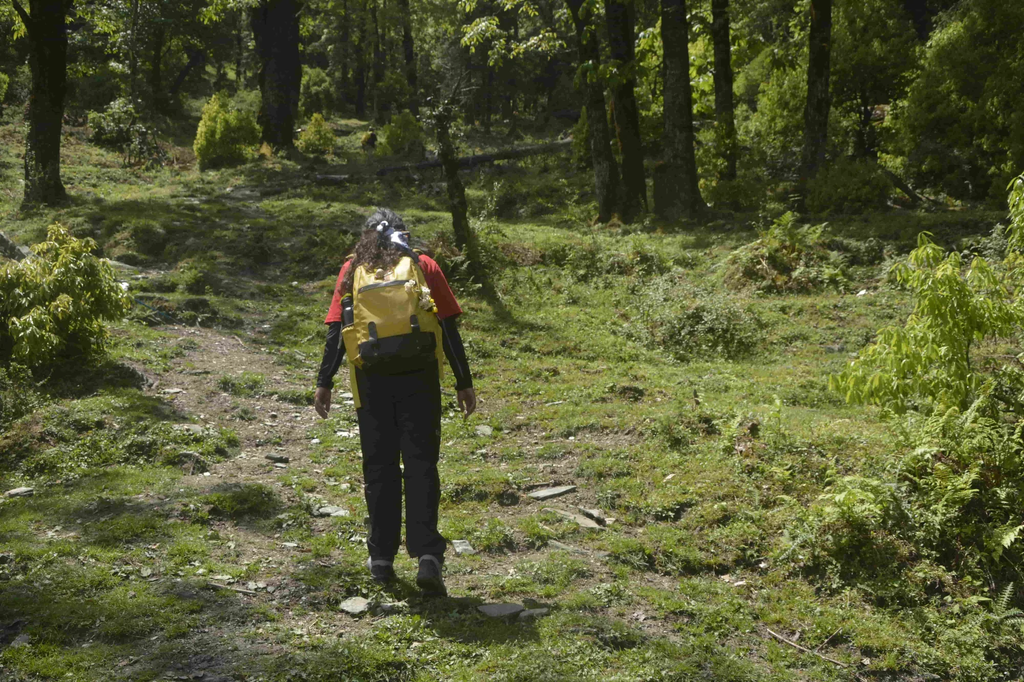How to Recover After a Himalayan Trek: Complete Recovery Tips