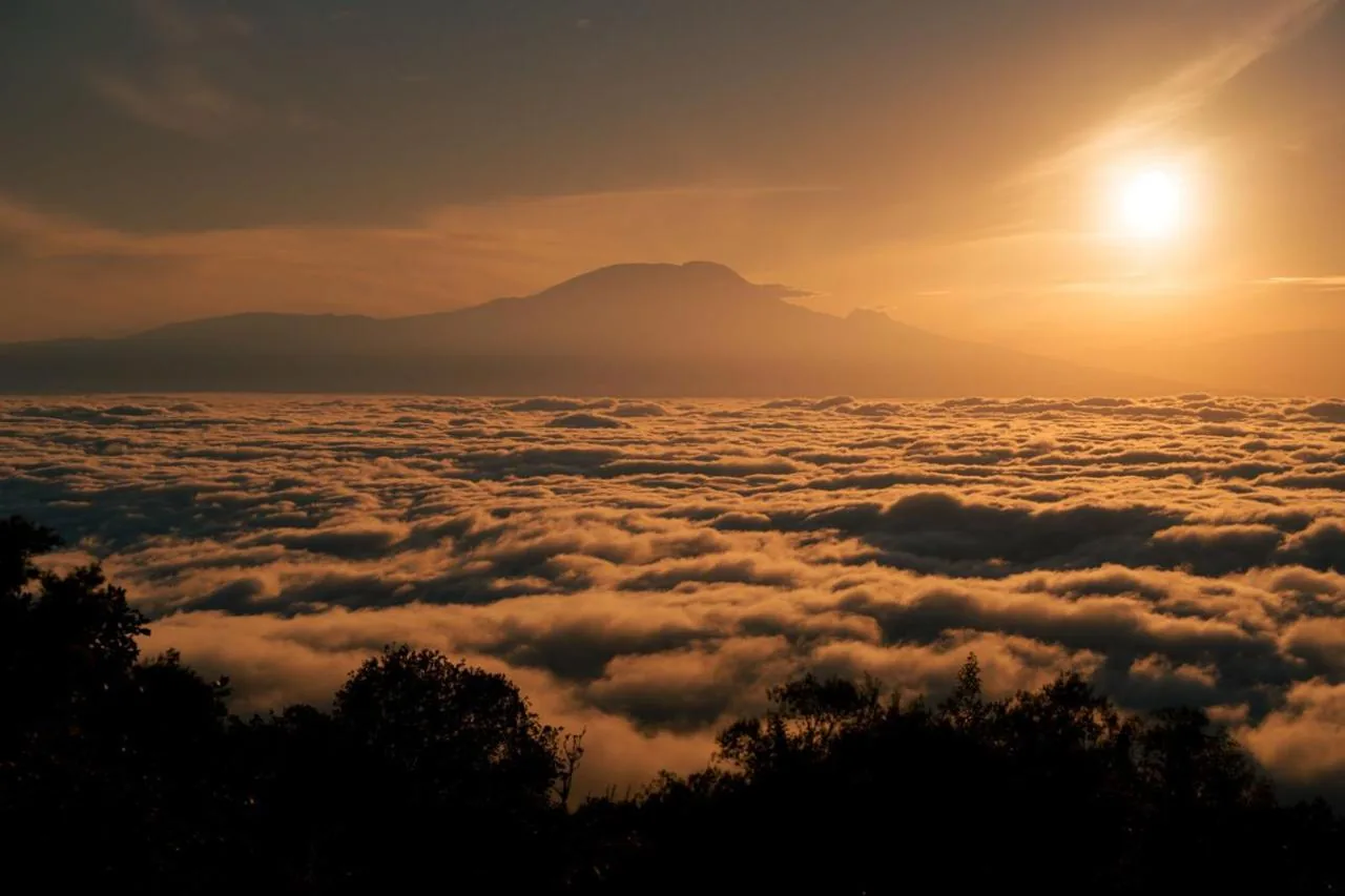 trekking in Kilimanjaro