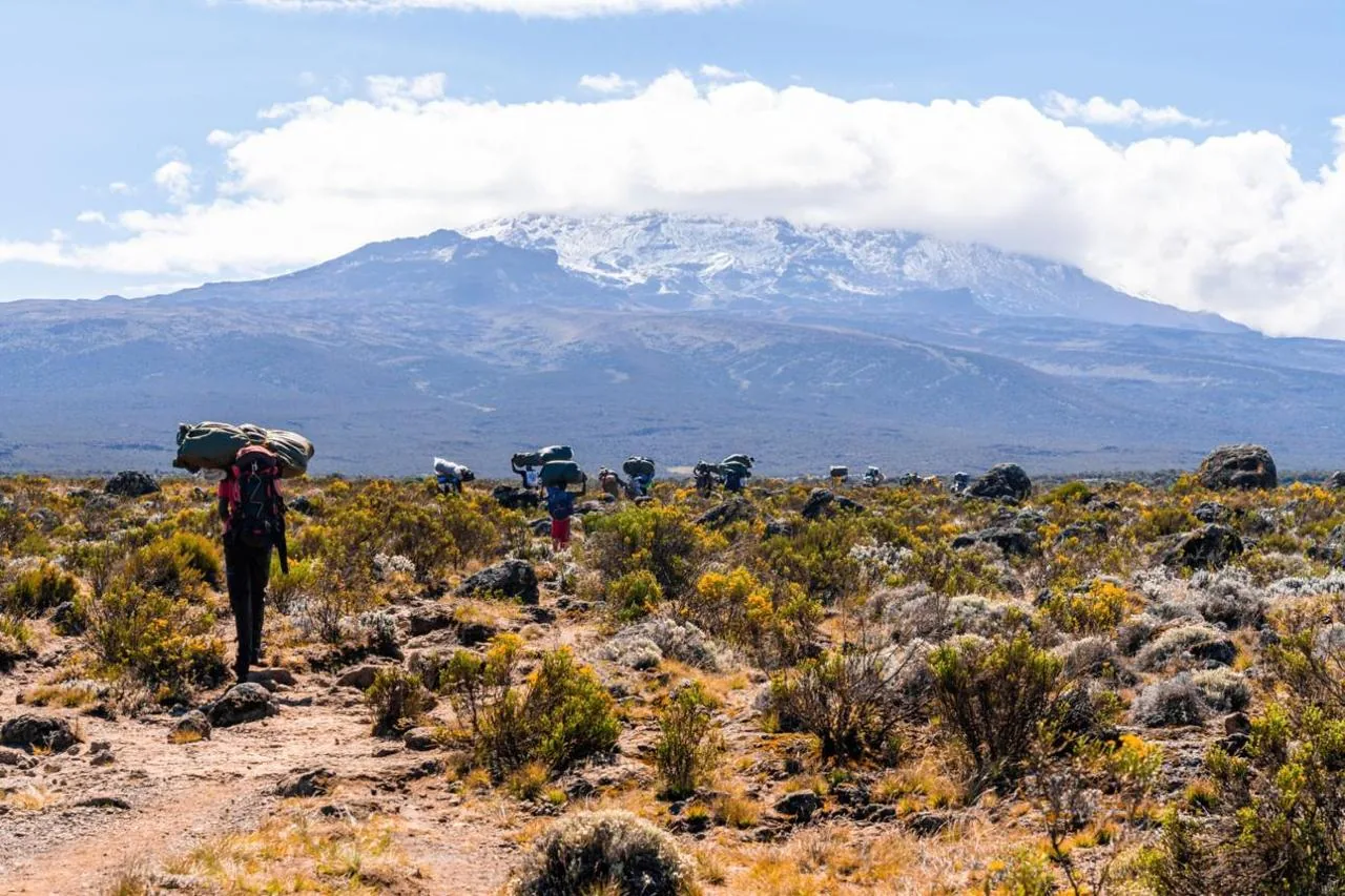 mount kilimanjaro trekking
