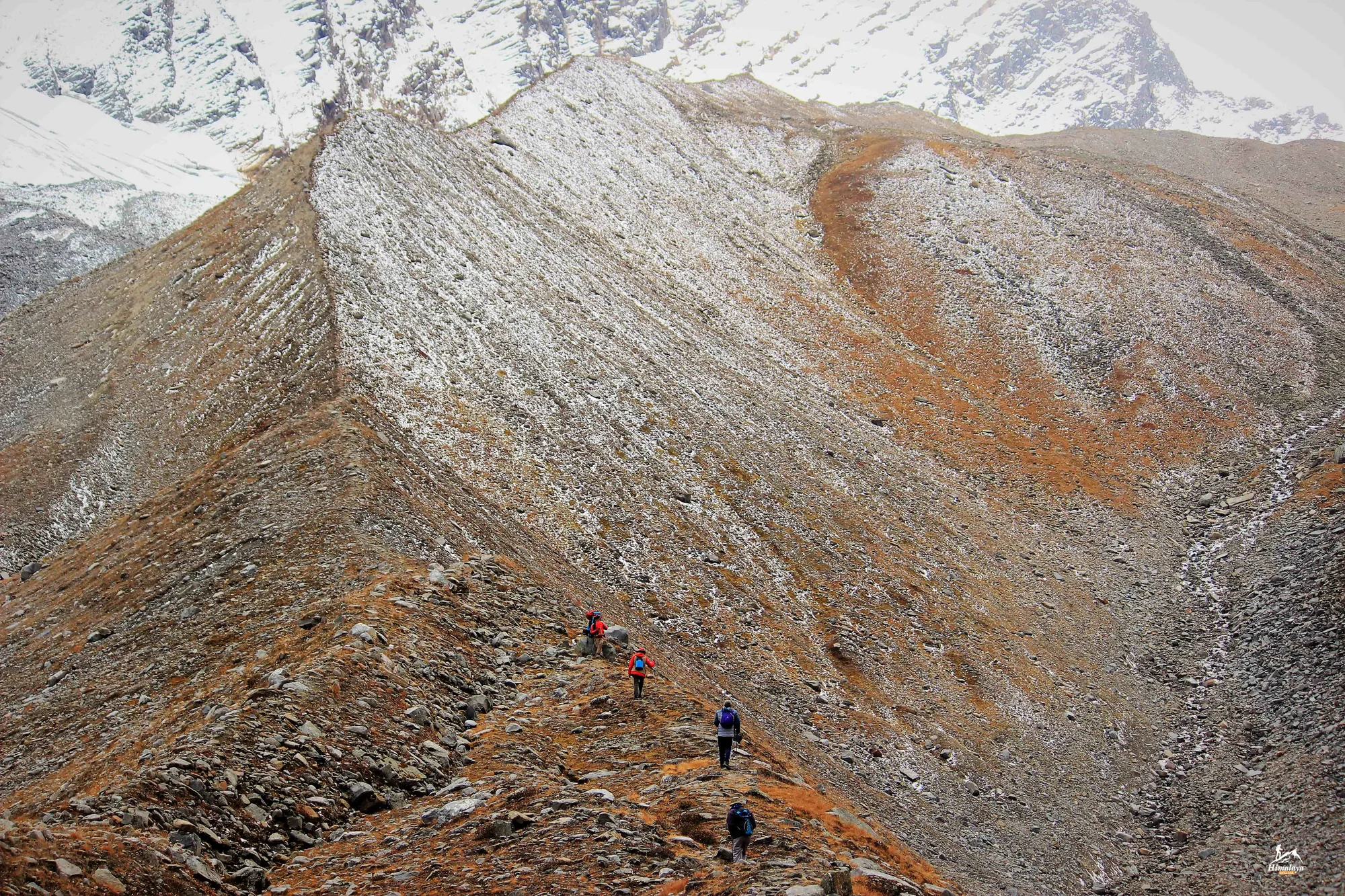 bali pass trek