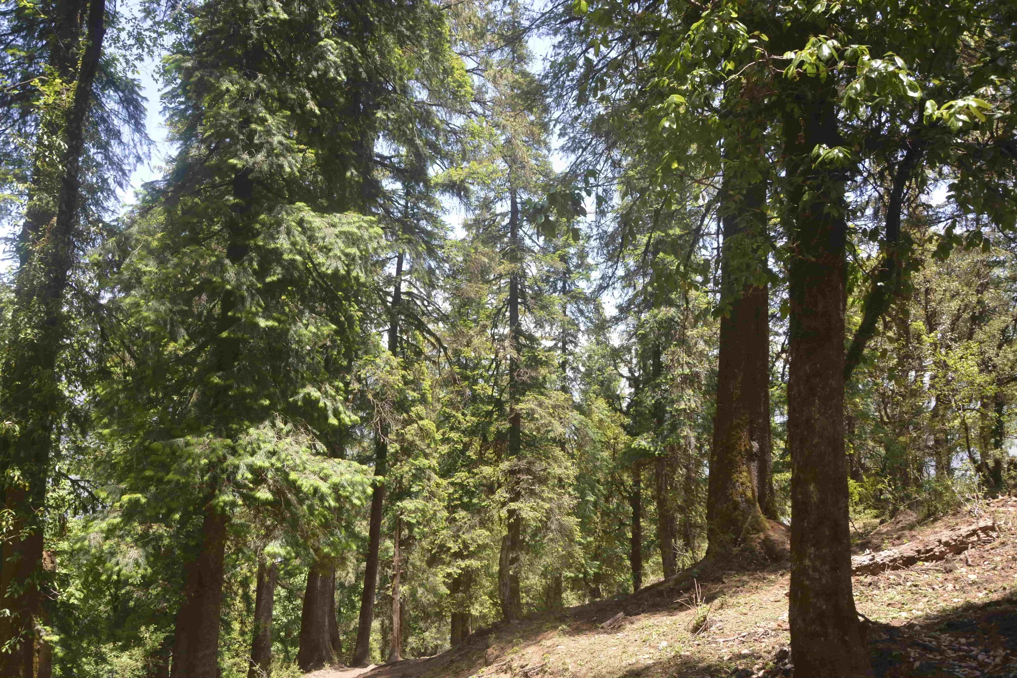 beginner-friendly treks