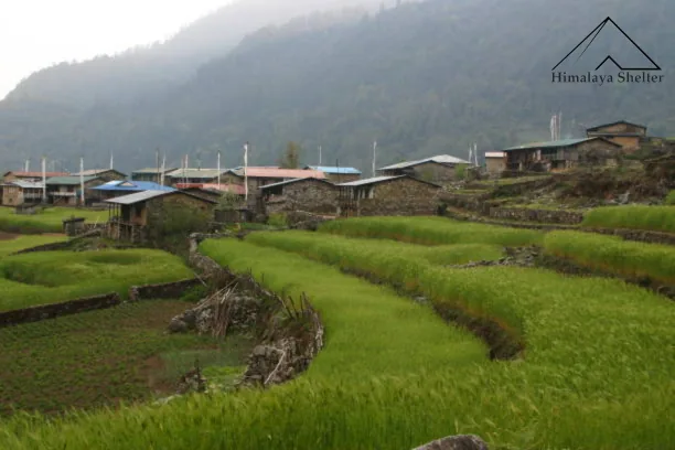 darma valley trek