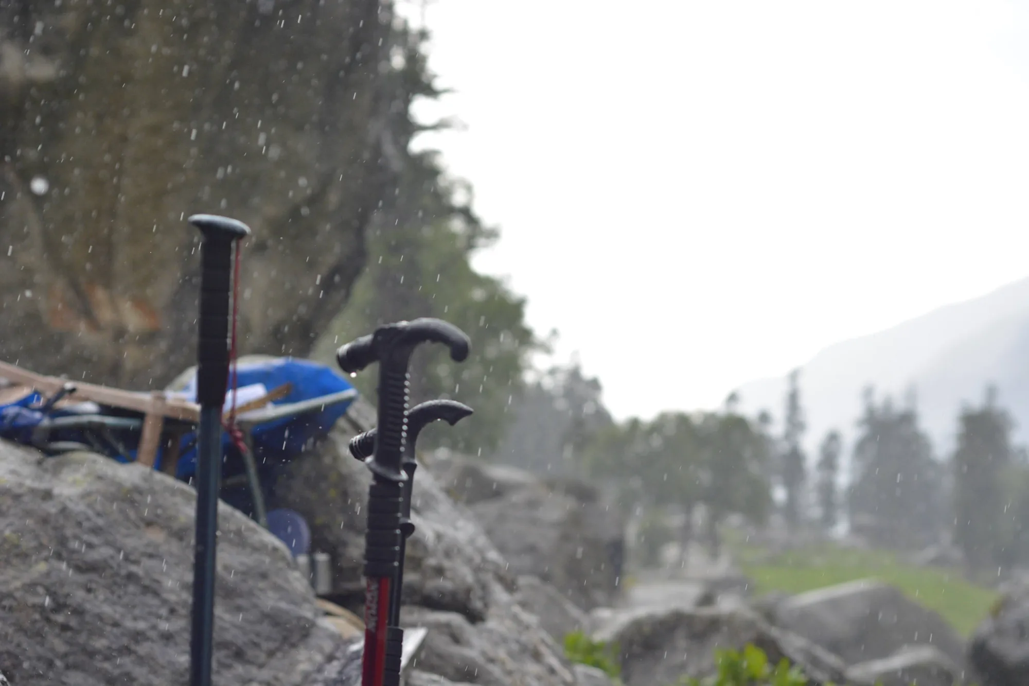 trekking poles