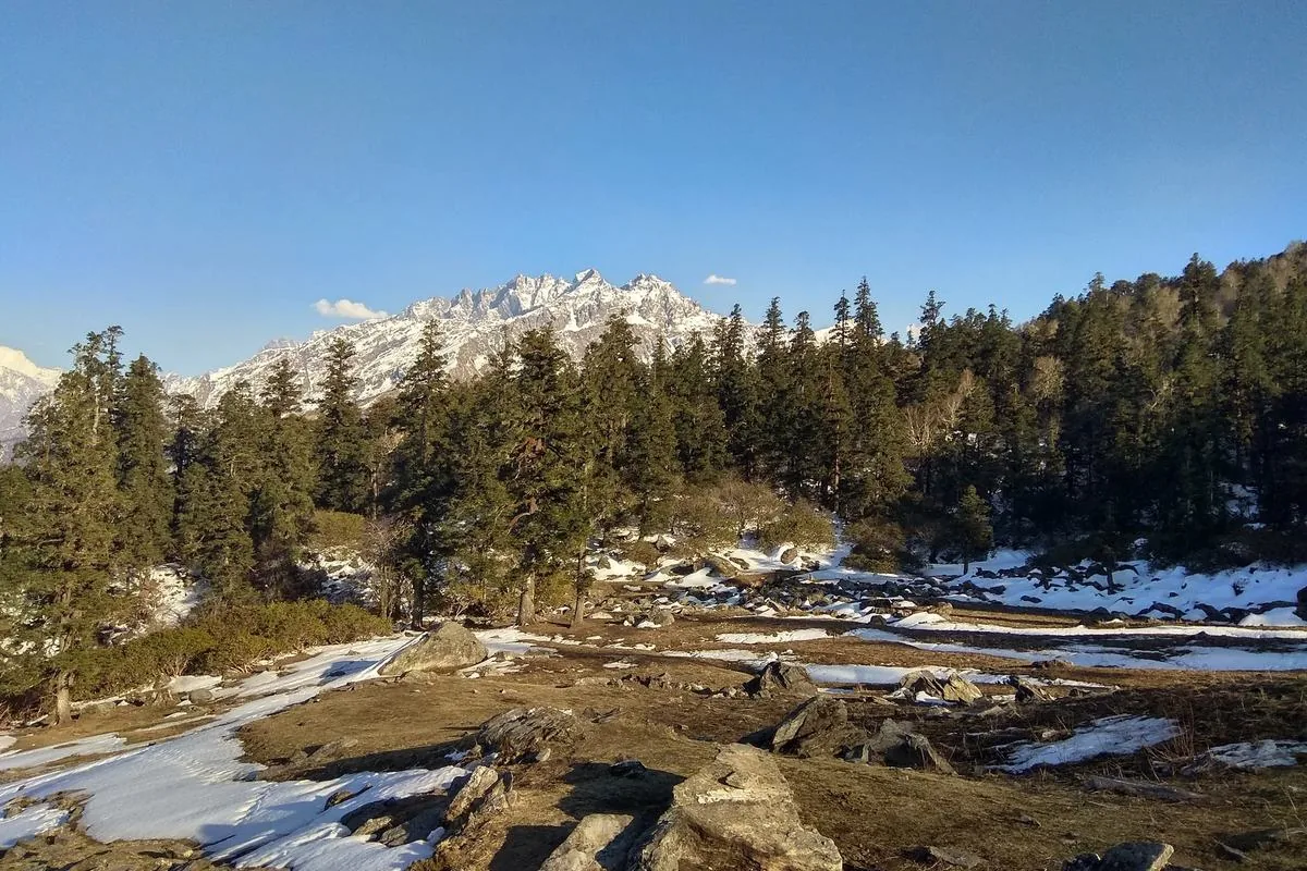 Melting snow patches in a forest clearing on the Kuari Pass trek, typical of the March temperature and weather