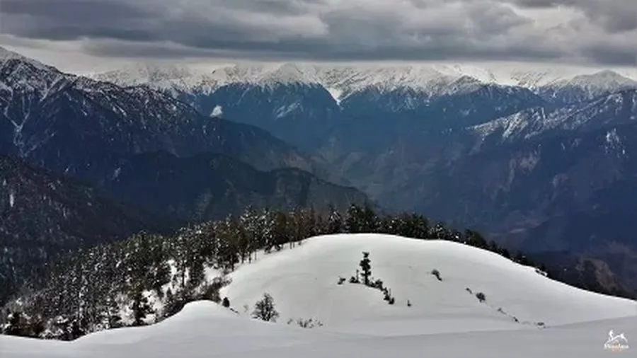 Snow-covered meadow and forest at Dayara Bugyal under a cloudy winter sky, with snow peaks in the distance