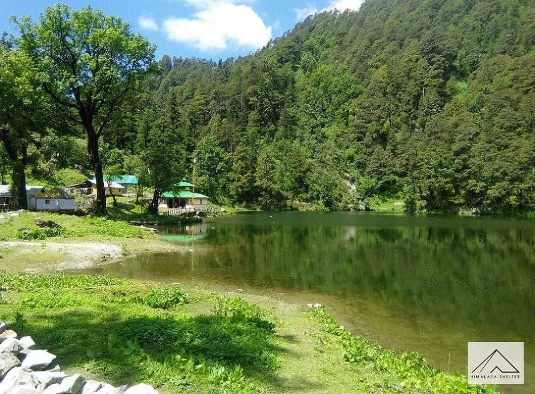Green meadow and forest beside Dodital Lake on a sunny summer day