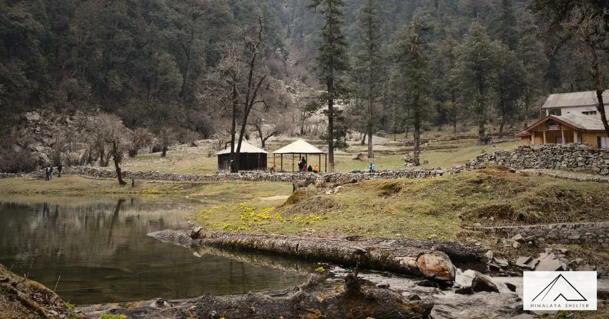 Dry autumn grass and huts beside Dodital Lake in the forest
