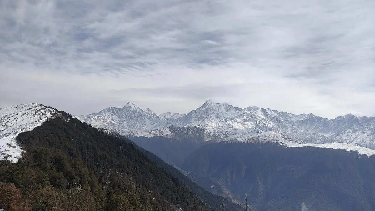 Snow-capped Himalayan peaks rising above dark forested ridges, seen from the Brahmatal trek on a cloudy winter day
