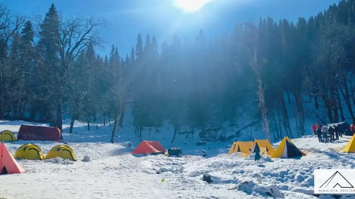 Colourful tents spread across a snowy Kedarkantha campsite among tall pine trees on a bright winter morning