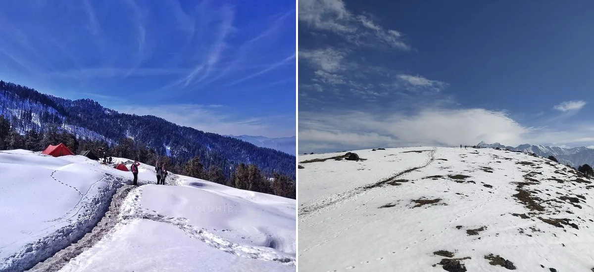 Kedarkantha vs Brahmatal Comparison Guide for Your Winter Trek