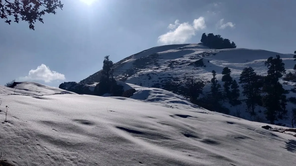 Snow-covered Dayara Bugyal meadow in winter sunshine, with a ridge of pine trees above the white slopes