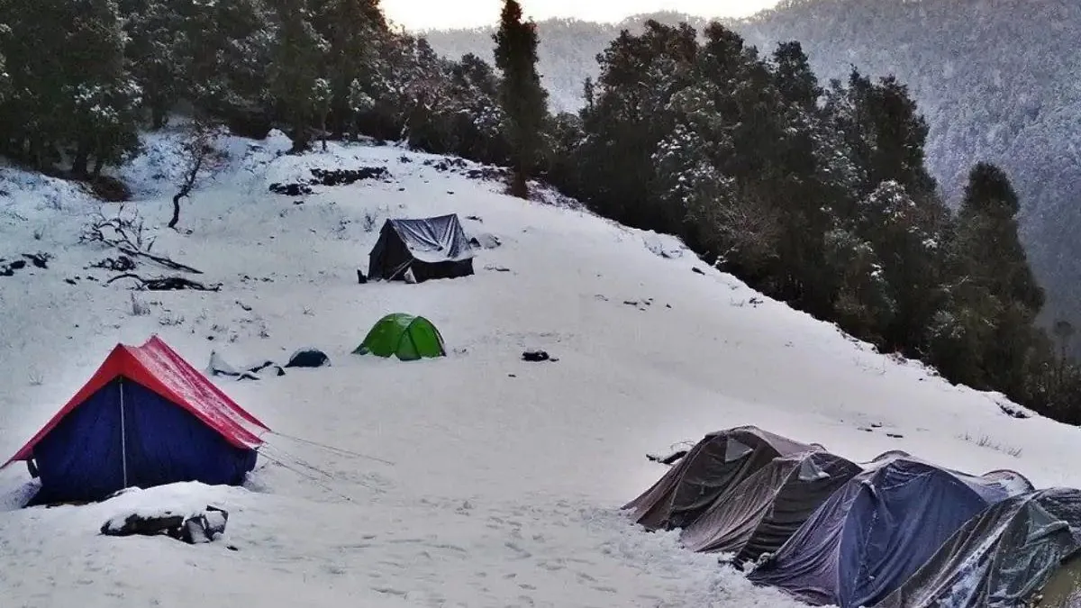 Tents pitched on a snowy slope among oak and pine trees at a Nag Tibba campsite in winter