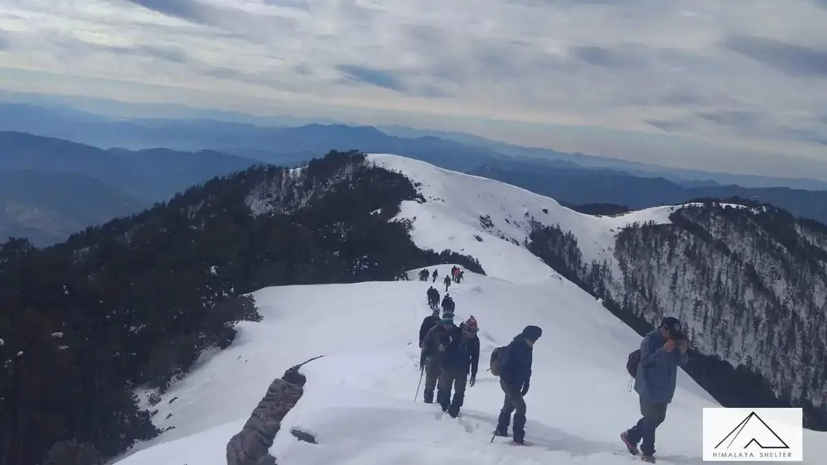 Group of trekkers with poles climbing a snow-covered ridge on the Brahmatal trek, with forested slopes on both sides