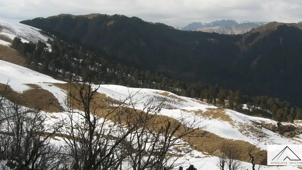 Snow lying across the Dayara Bugyal meadow and the edge of the forest in winter, with bare trees and a ridge behind