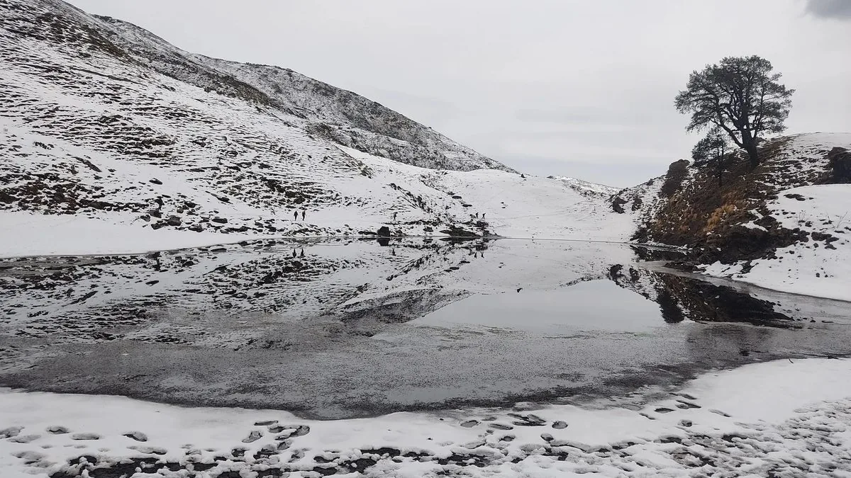 Brahmatal lake in winter with snow on its banks and a lone oak tree on a small rise above the still water