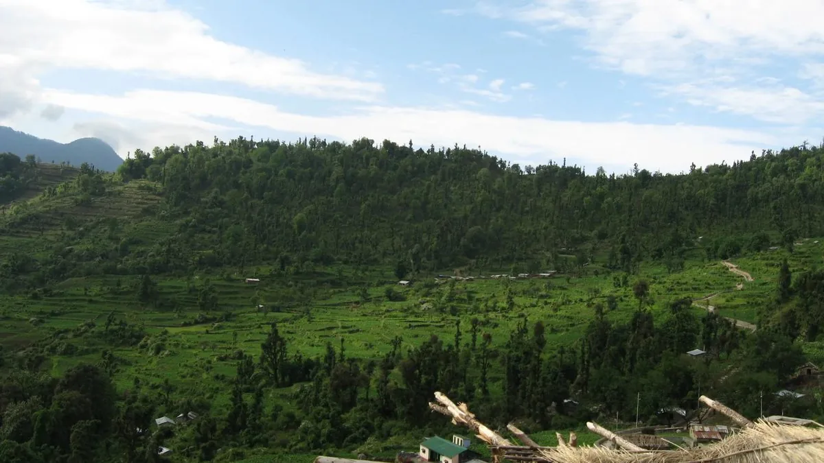 Green forested slopes and terraced fields on the Dayara Bugyal trek route in summer under a blue sky