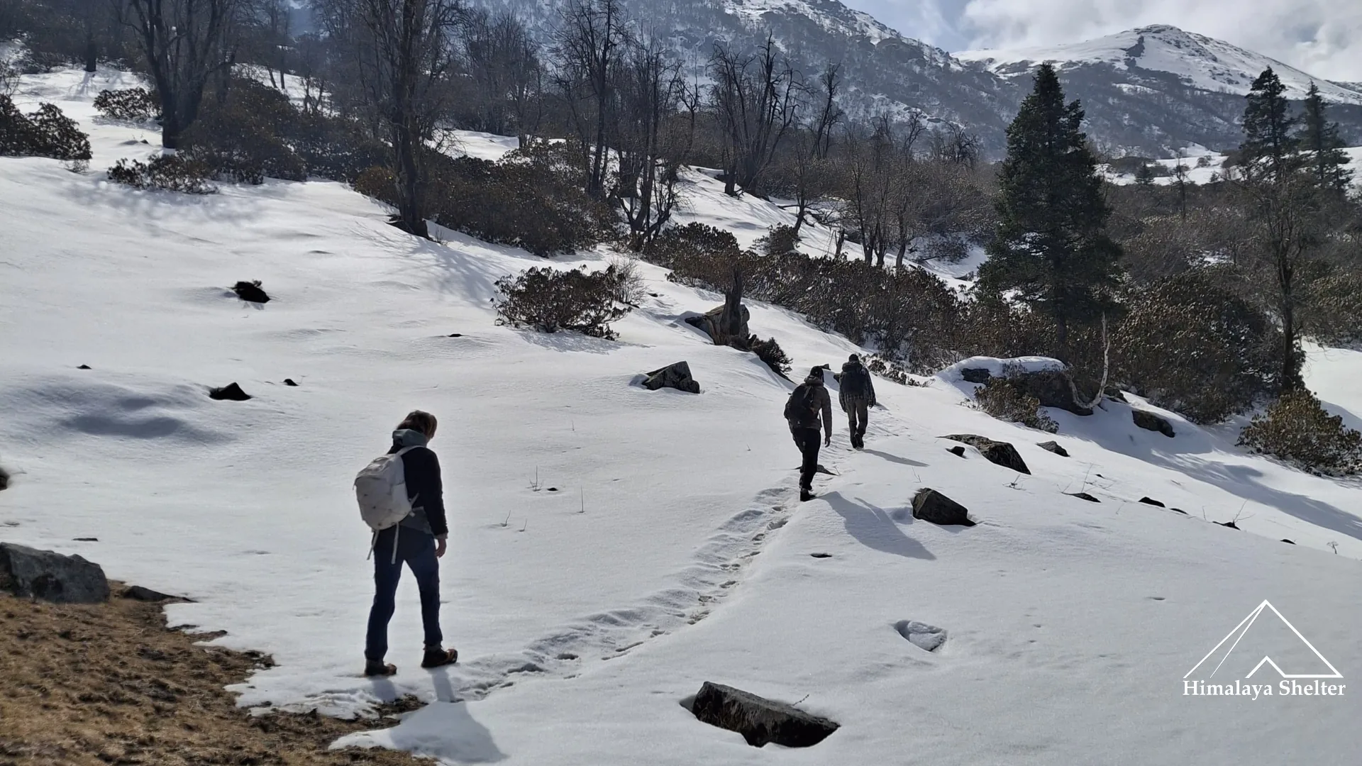 Aancha Top Trek trek in the Himalayas by Himalaya Shelter