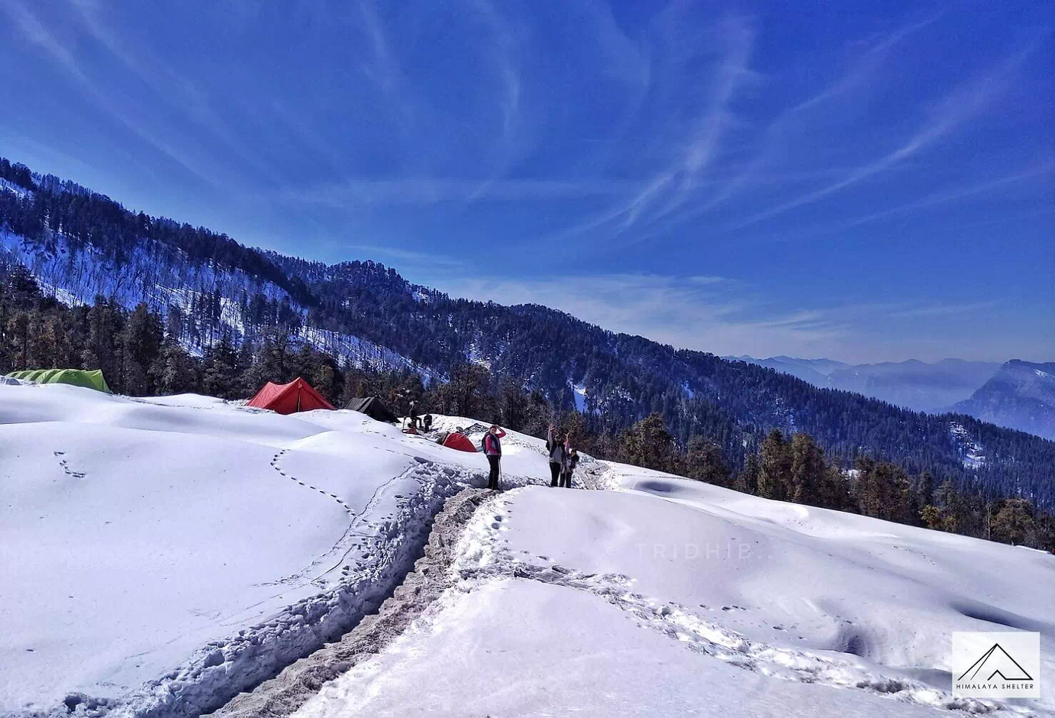 https://www.himalayashelter.com/trek/kedarkantha-trek/