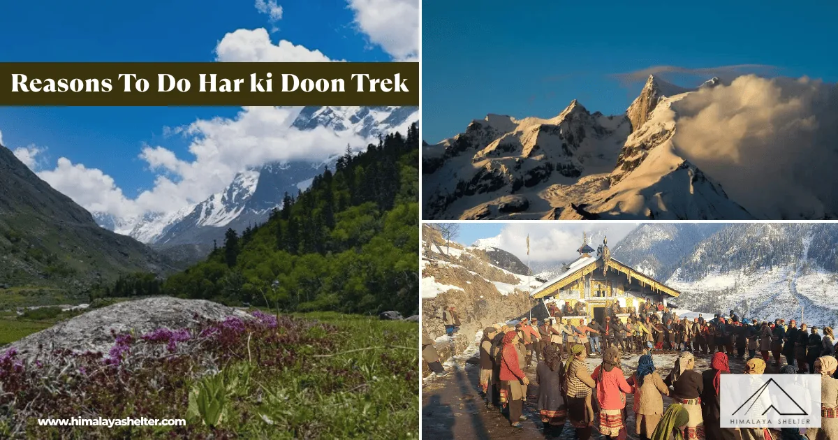 Reasons To Do Har ki Doon Trek: A family friendly summer adventure in uttarakhand