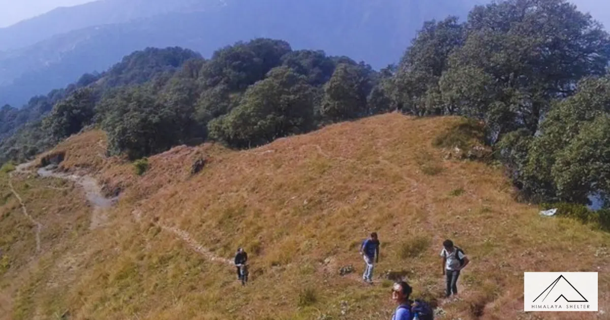 Benog Hill Trek