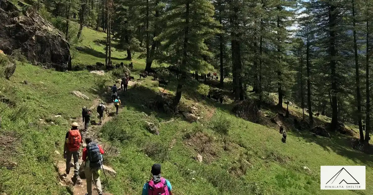 Trekkers On A Trail Leading To Buran Ghati