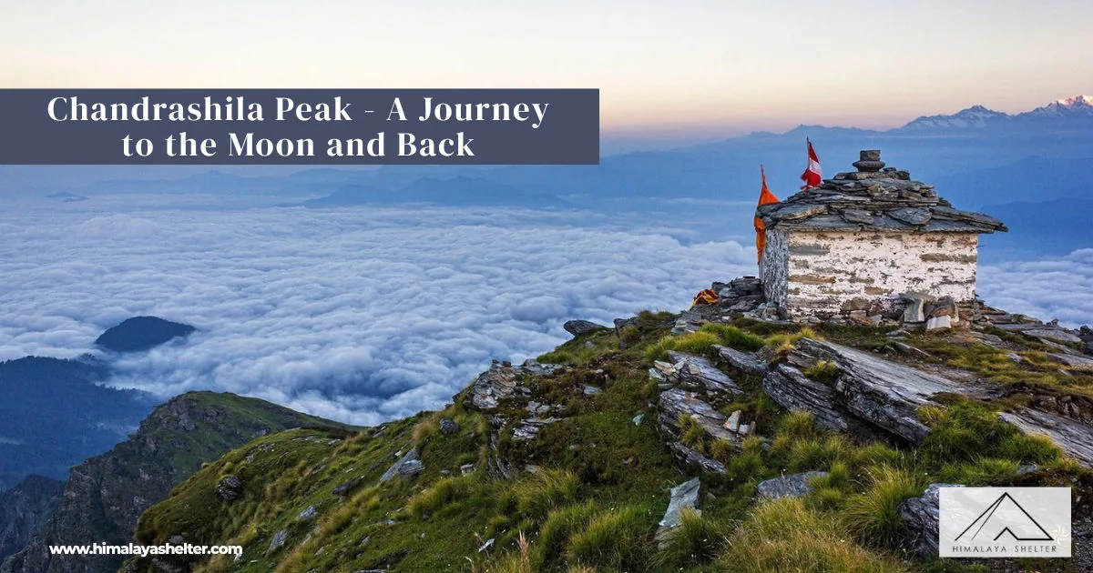 Chandrashila Peak: A journey to the moon and back